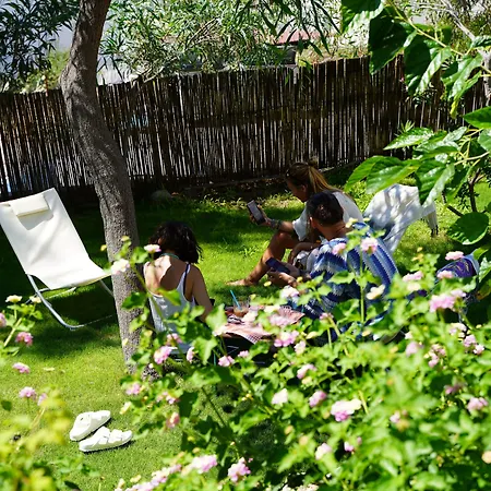 Matiz (adults Only) * Golturkbuku