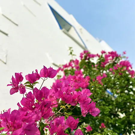 Kwatera prywatna Matiz (adults Only) Golturkbuku