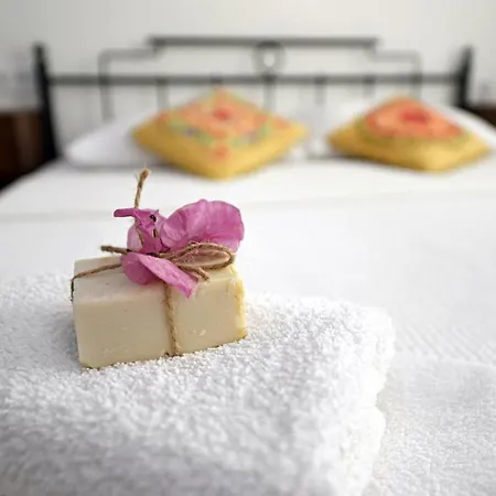 Matiz (adults Only) *