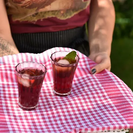 Kwatera prywatna Matiz (adults Only) Golturkbuku