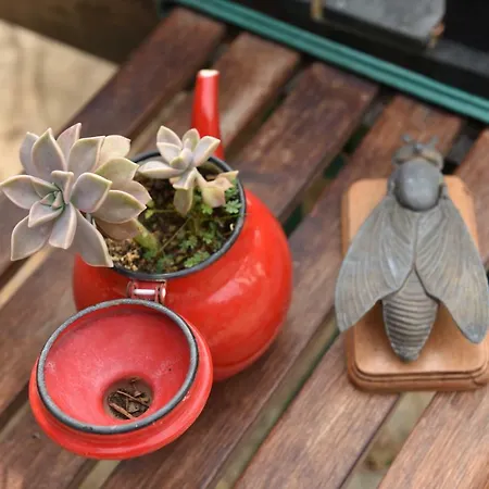 Matiz (adults Only) Kwatera prywatna *