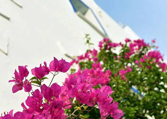 Habitación en casa particular Matiz (adults Only) Golturkbuku