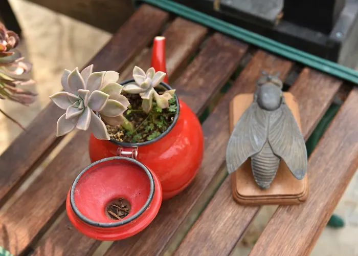 Matiz (adults Only) Habitación en casa particular *